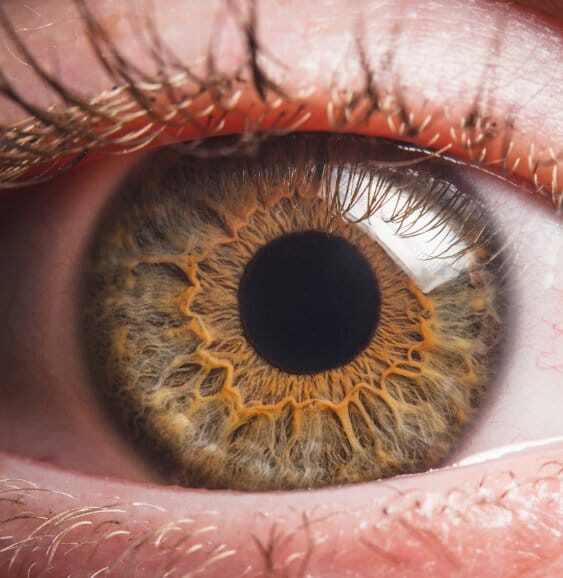 Refractive Lens Exchange Austin