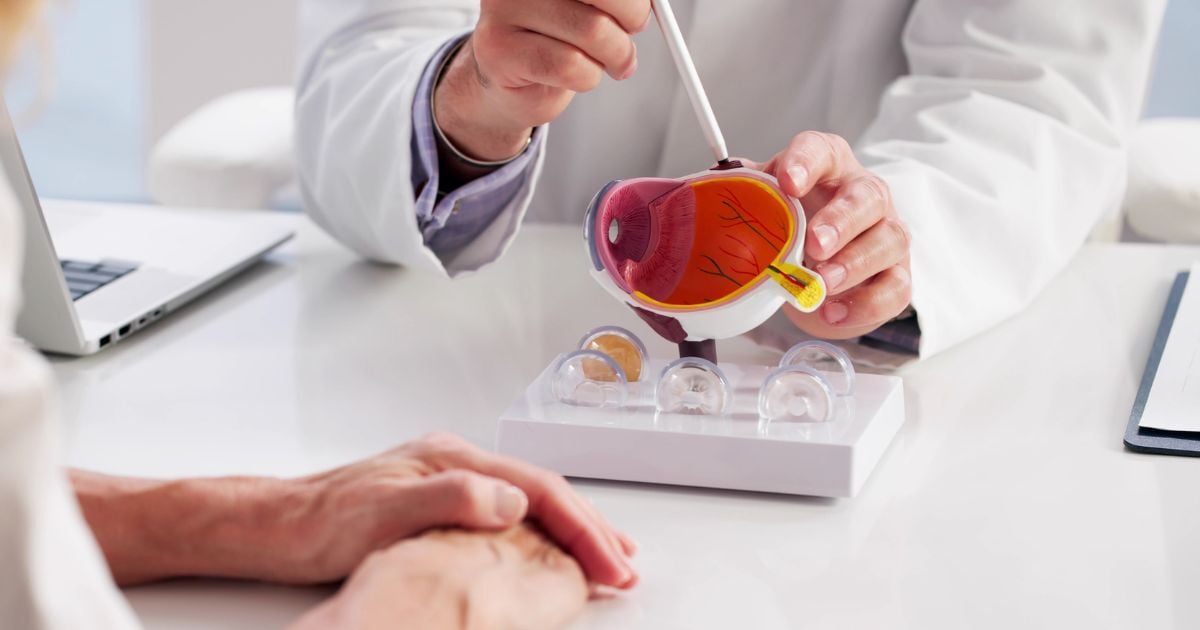 An eye doctor explaining how glaucoma works with an model eye.