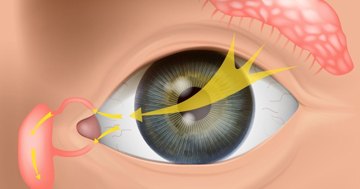 An illustration of an eye showing how the tear film moves across the eye.