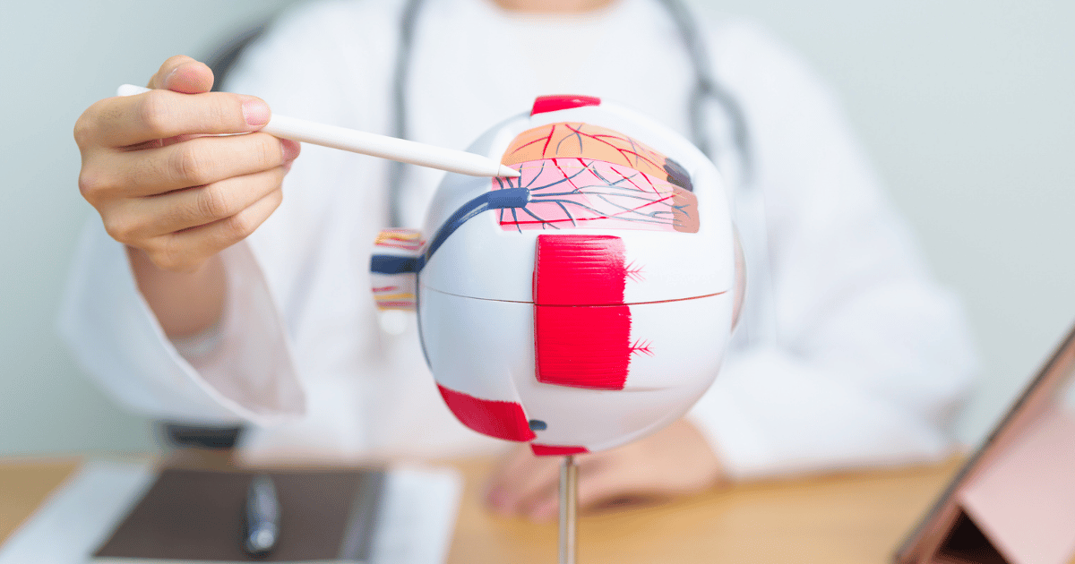 A Guide to Protecting Your Vision from Diabetic Eye Disease